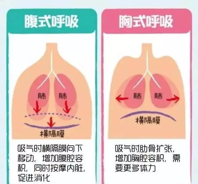 射杀僵尸：选择武器要诀，瞄准要害关键