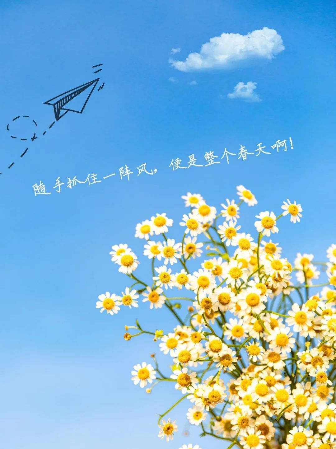 好听的手机 铃声_好听铃声手机铃声大全_好听的铃声手机