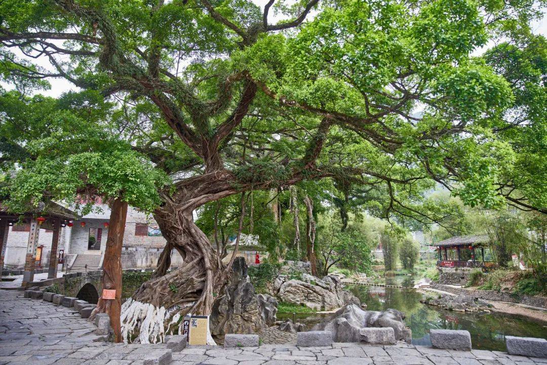 淮阳古冢遗址_古淮阴地图_淮阳古道大地图