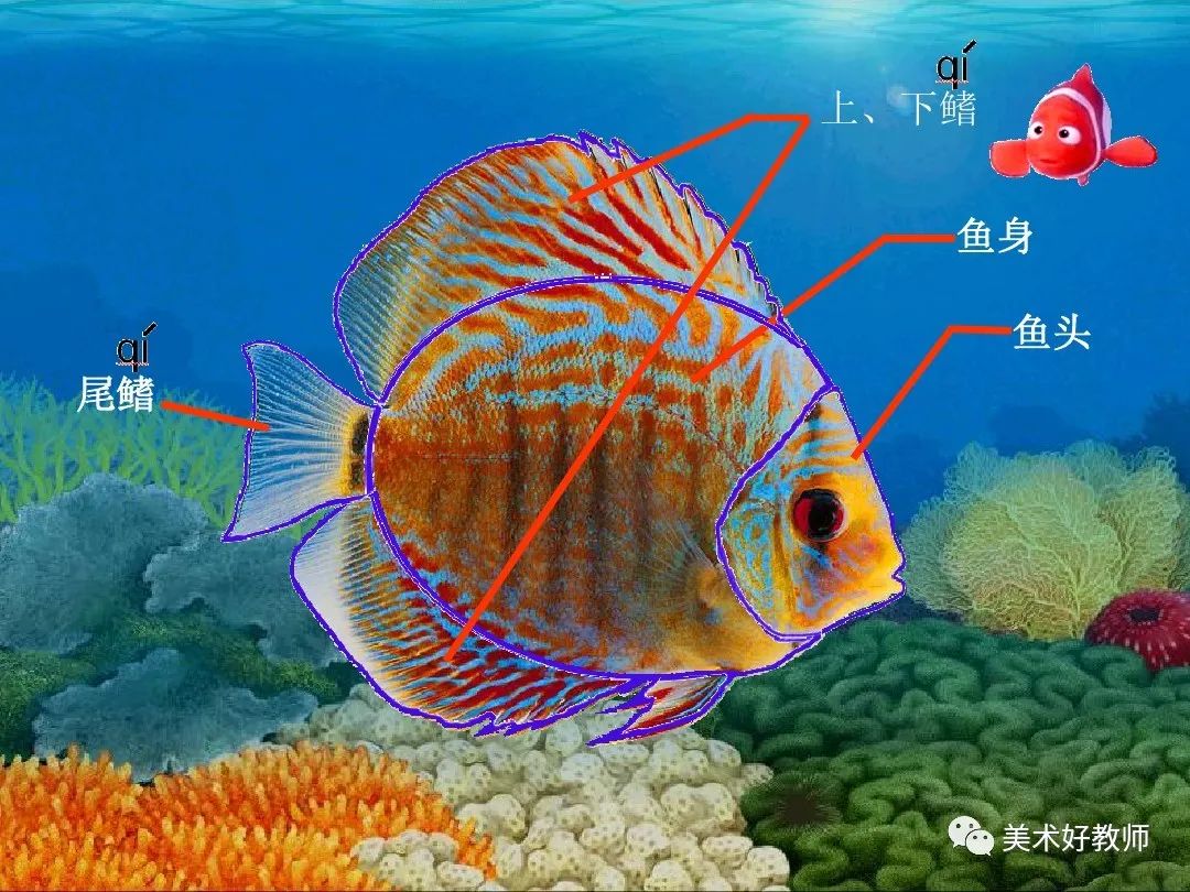 小游戏大鱼吃小鱼_大鱼吃小鱼开始游戏_大鱼吃小鱼这个游戏