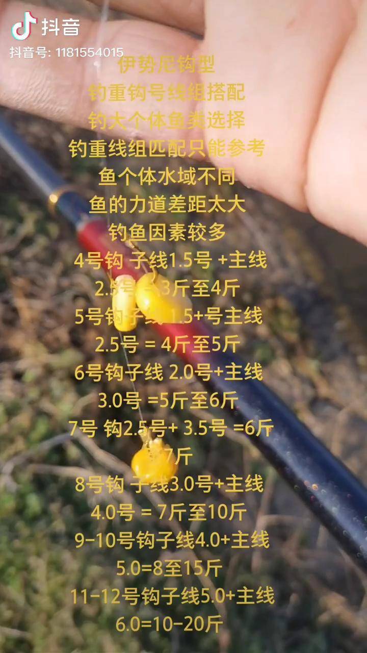 大鱼吃小鱼开始游戏_小游戏大鱼吃小鱼_大鱼吃小鱼这个游戏