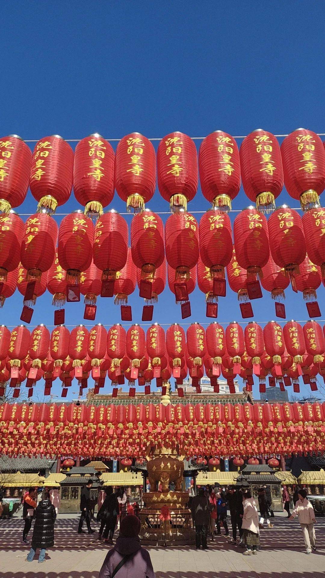 云幂的结缘袖珍罐_云幂的结缘袖珍罐_云幂的结缘袖珍罐
