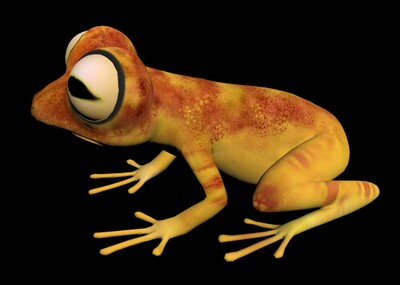 超越想象！微型大眼蛙的神奇视力引发科学界震撼