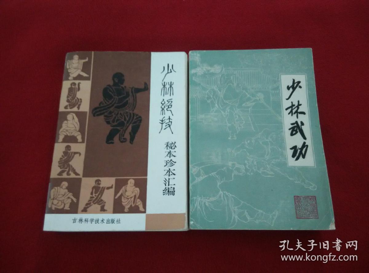 少林修行秘籍：内功修炼与招式练习的关键要素