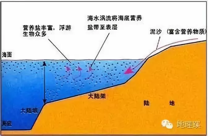 神秘海域重制版奖杯_神秘海域4大获全胜奖杯_神秘海域1 奖杯