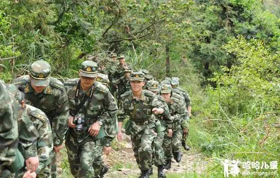 生死阻击线电视剧在线多少集啊_生死阻击线_生死阻击线电视剧