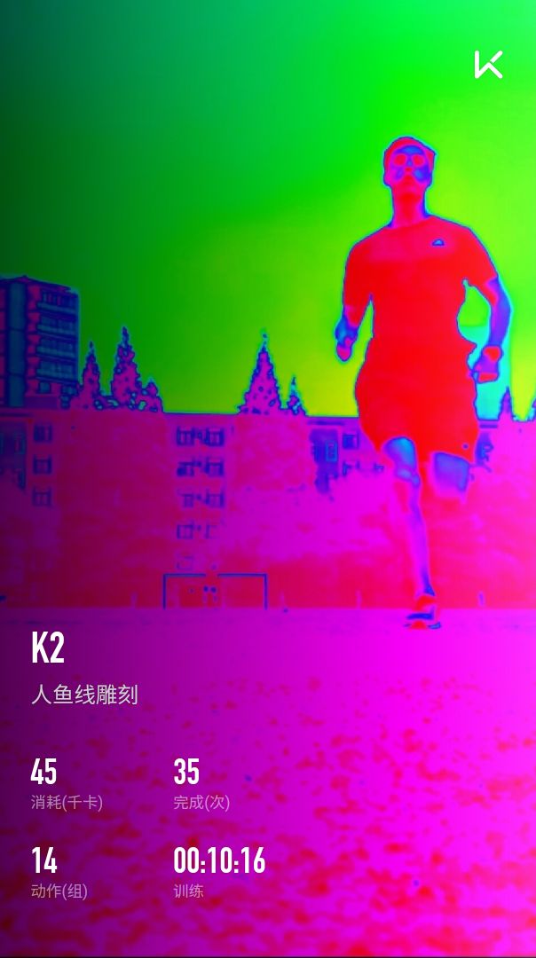 狗电子芯片是什么东西_电子狗狗图片_jb2电子狗是什么