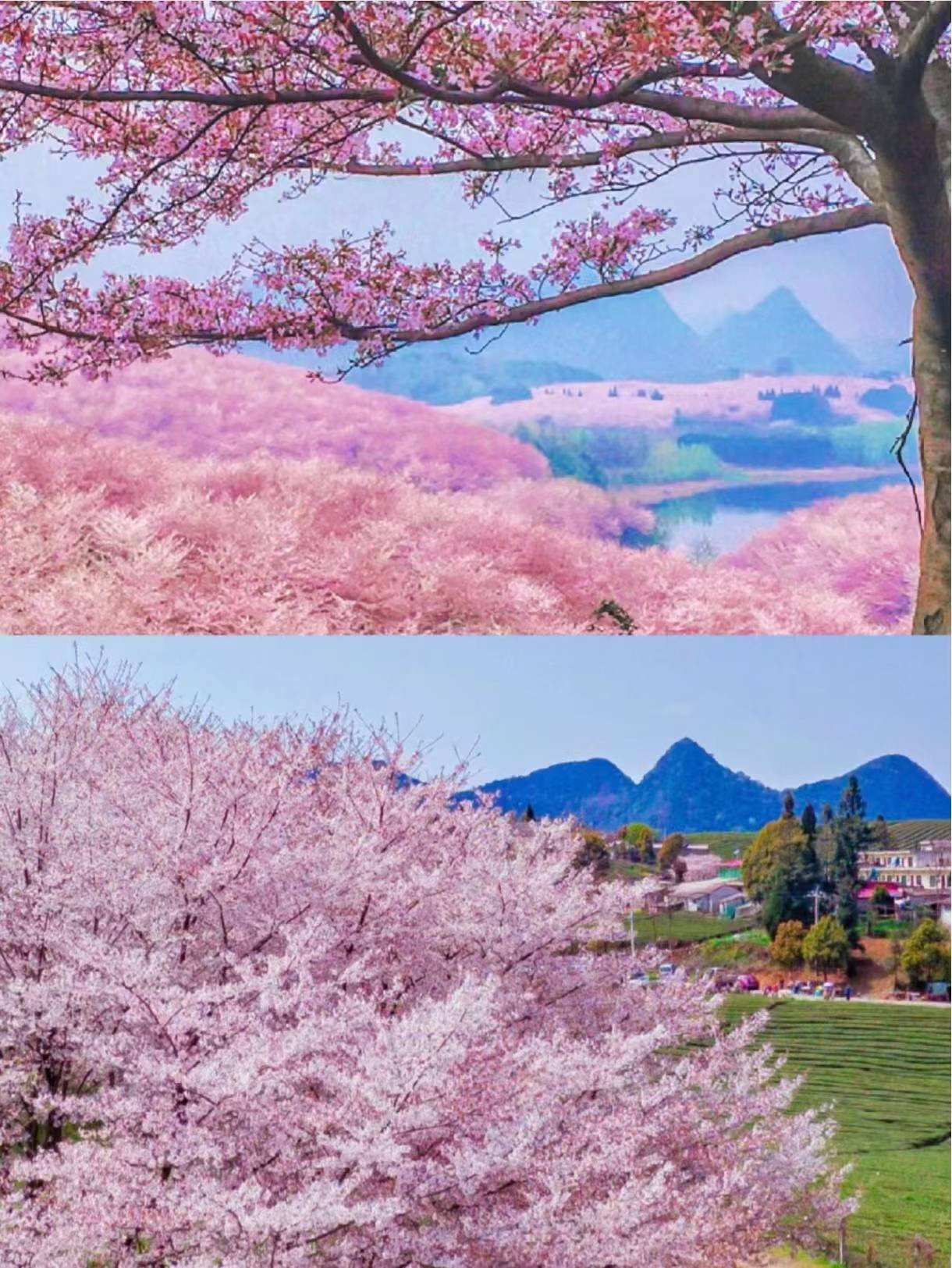 亚洲平衡大师_平衡大师的玩法_平衡大师是谁