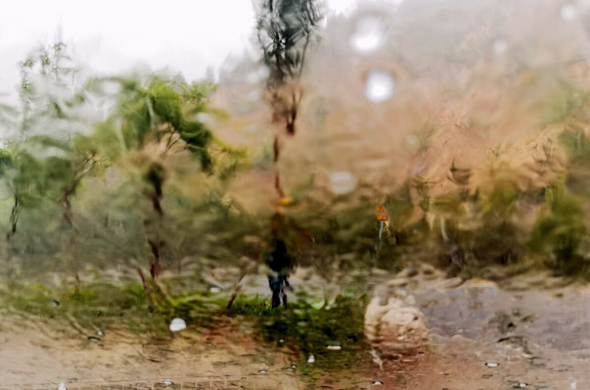 雨后阳光，生活也会如此美好