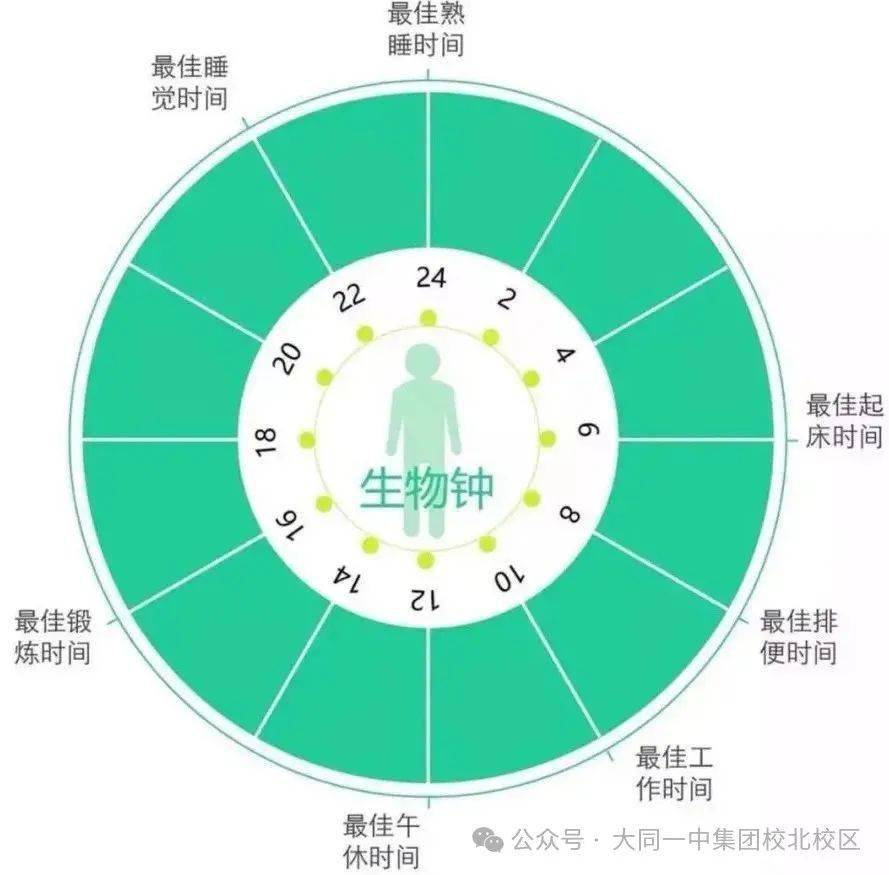 作死节奏是什么意思_作死的节奏_作死的节奏什么意思