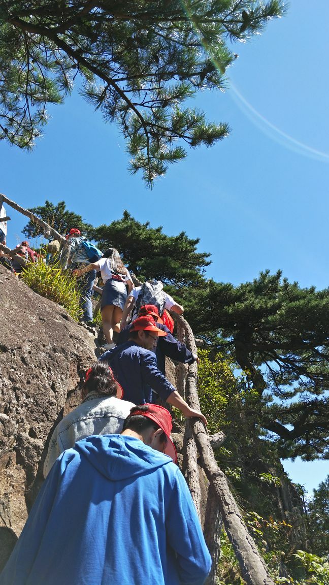 黄山修复_黄山修复疤痕医院_黄山维护