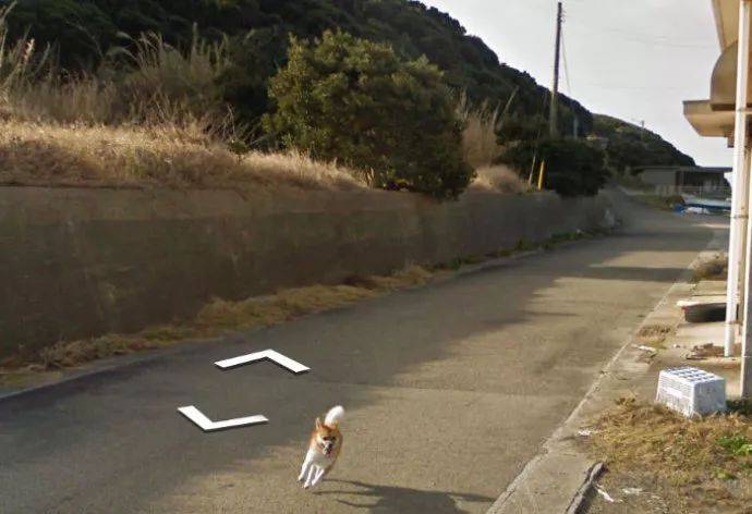 探索谷歌地图街景：穿越科技的神奇，漫步家乡的街道