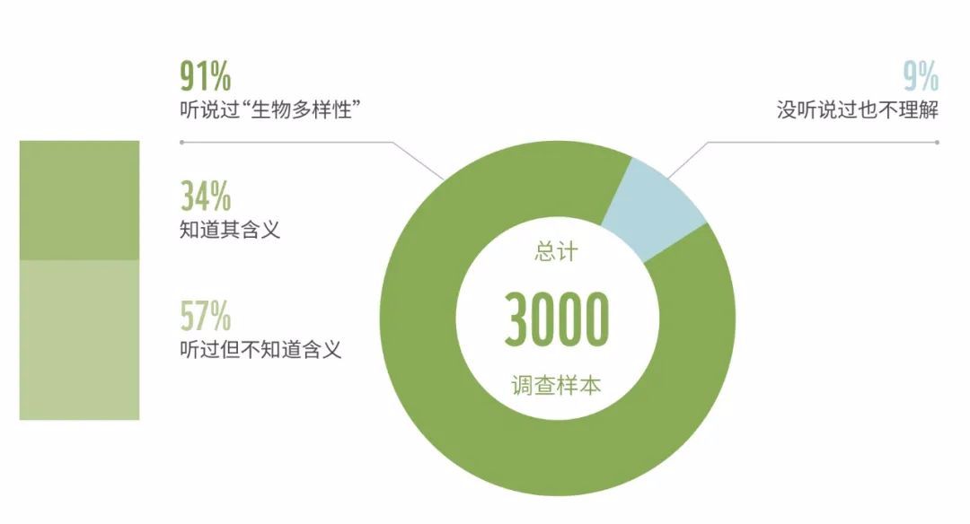 百度突然打不开，让我意识到多样性的重要性