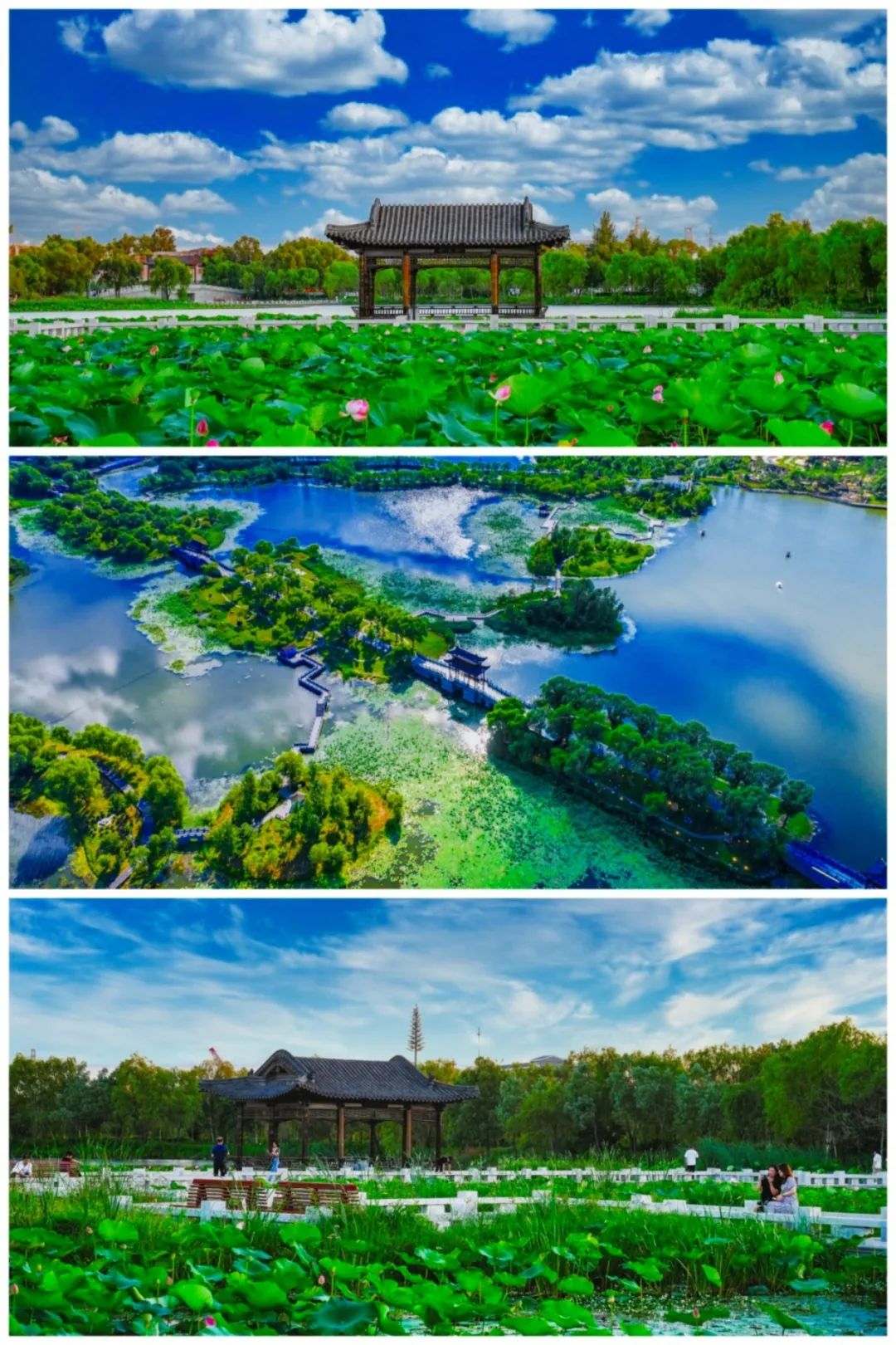 月影神途推广礼包_奥奇传说月影王超神平民打法_月影传说礼包
