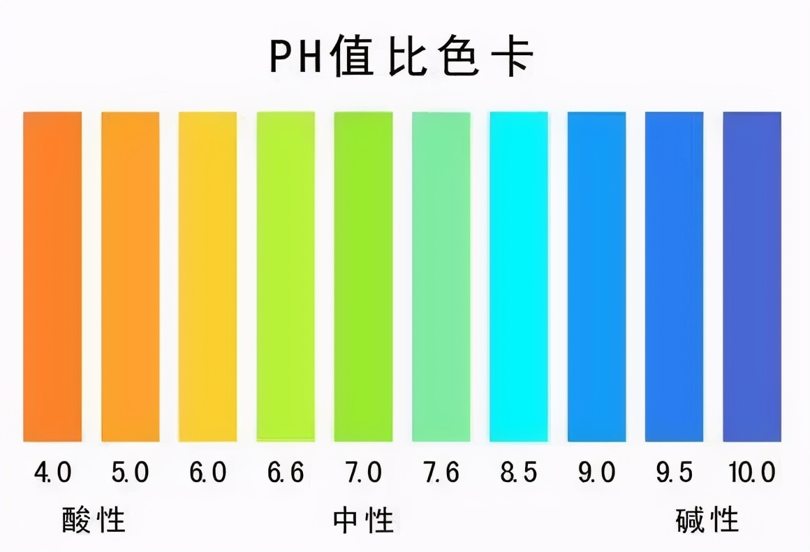 巴哈姆特之血_巴哈姆特之血石板_巴哈姆特之血nds