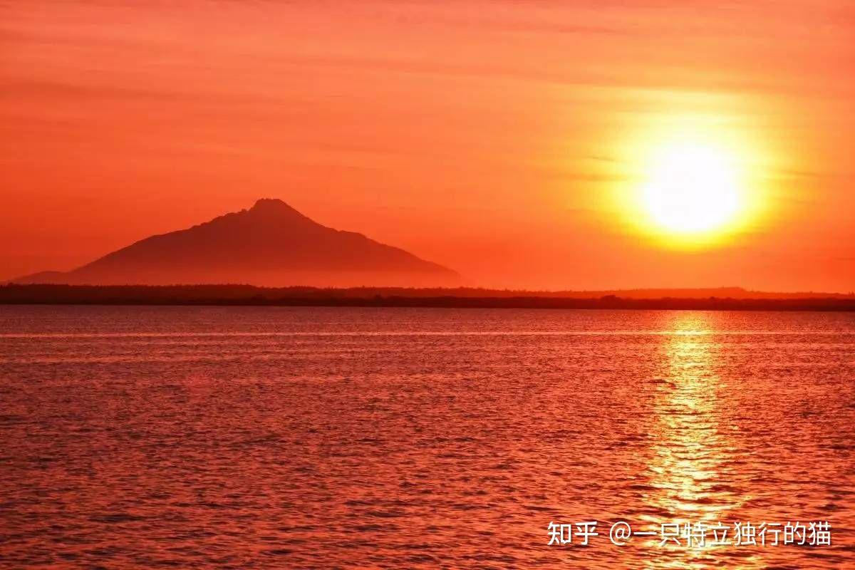 江湖任我行安卓移植版_江湖任我行红蚂蚁手机版_江湖任我行