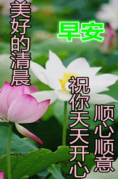 溜溜体育免费视频直播nba_溜溜吧快播_溜溜软件官方下载