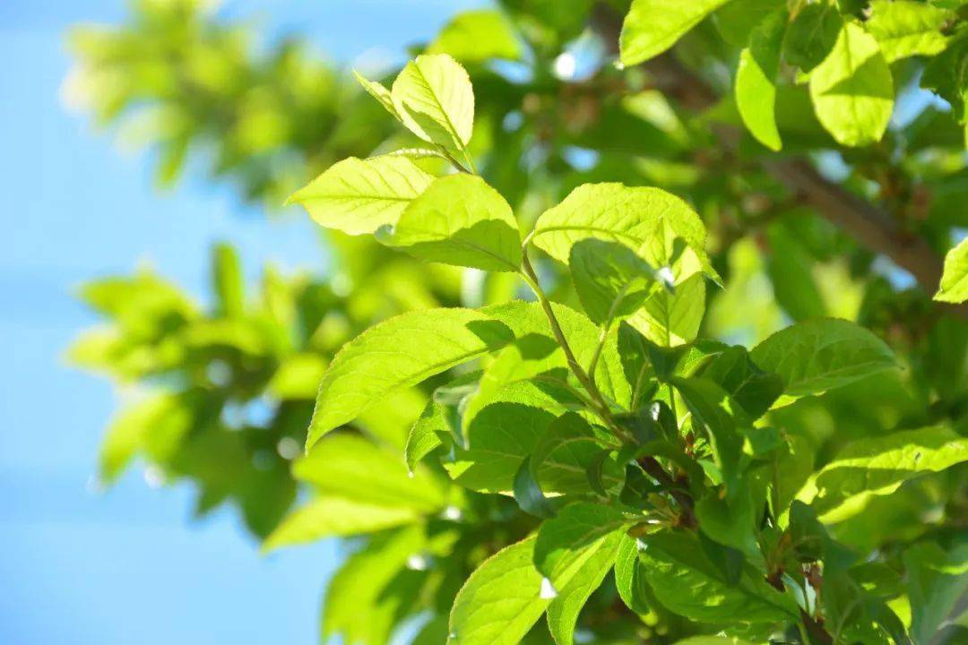 孙雅莉牵手 孙雅莉牵手：阳光明媚下的温暖邂逅，朋友群中的喜悦分享