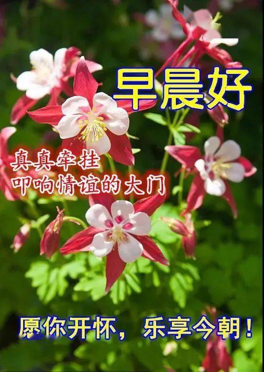 溜溜软件官方下载_溜溜吧快播_溜溜体育免费视频直播nba