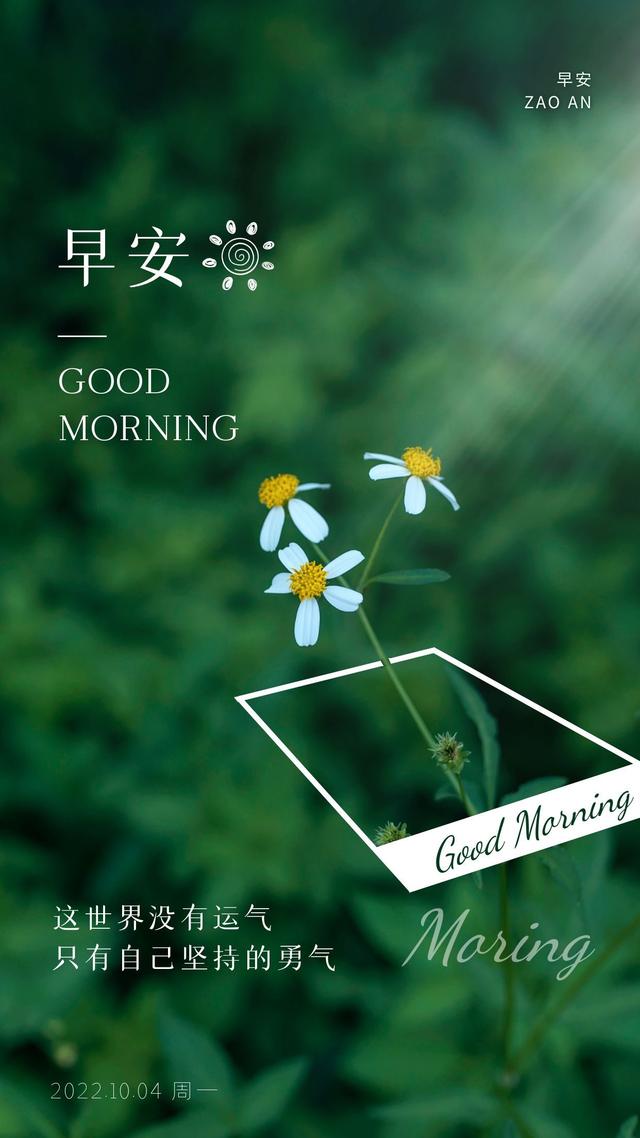 创刻的动脉ssg_创刻的动脉_创刻的动脉ce
