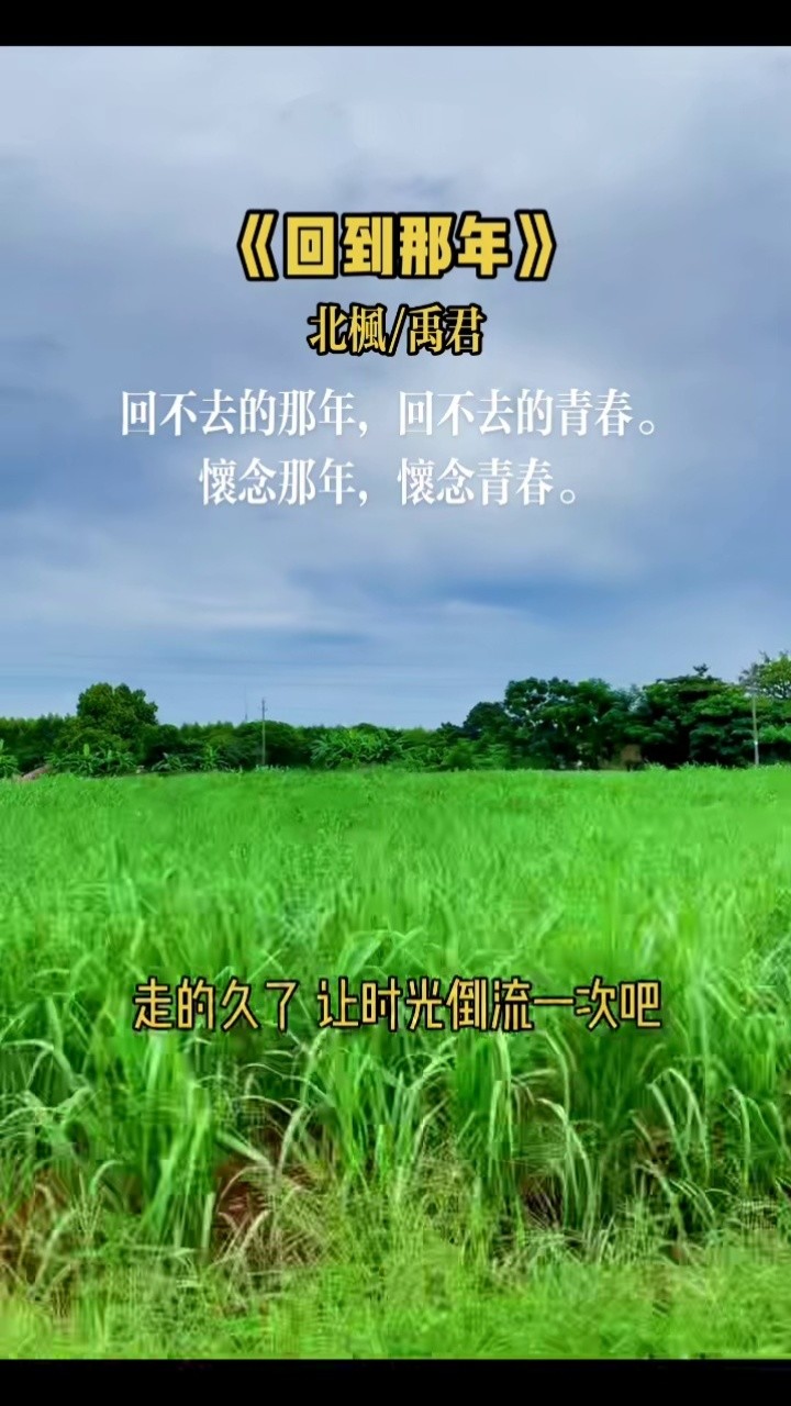 手机 80s：时代变迁的见证者，青春记忆的温暖载体