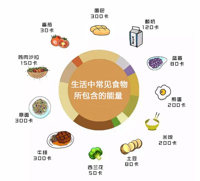 韩剧灿烂人生又叫什么_韩剧灿烂人生国语版全集_韩剧灿烂人生第二部