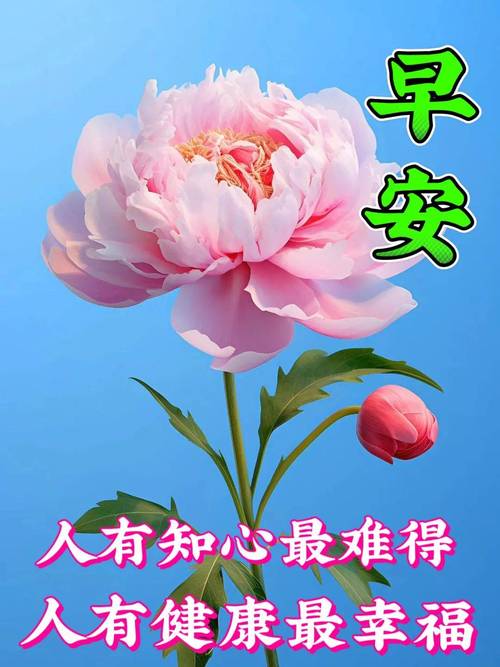 玛莉安是哪个国家的品牌_玛莉安娜v不列颠_玛莉安