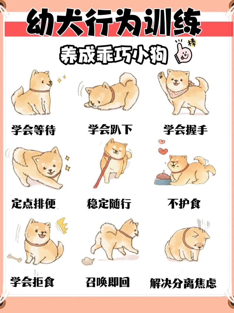 落星训狗师在线阅读_训狗师 落星_训狗师落星完整版全文阅读
