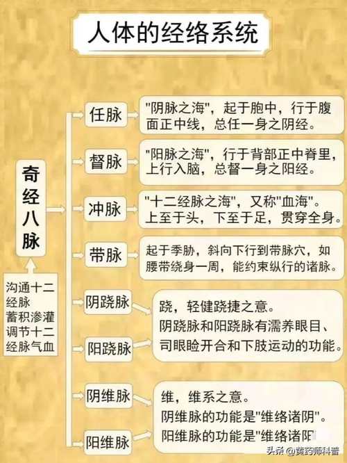 万花经脉_离经万花镇派经脉_万花经脉怎么点
