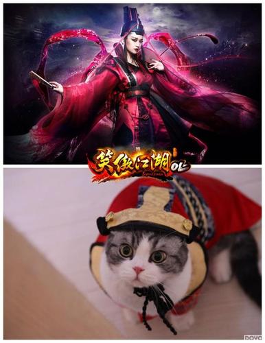 揭秘笑傲江湖中的神秘教主猫：独特魅力与江湖传说
