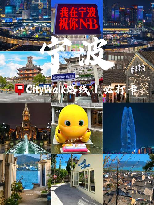 宁波公交线路_宁波公交车线路_宁波公交车路线查询查