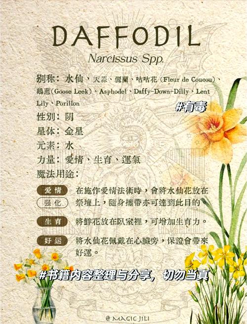魔法花学园5大结局_魔法花学园3_魔法花学园1