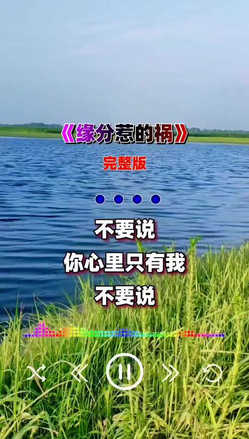 都是缘分惹的祸歌词解析：爱情中的无奈与哀愁，缘分带来的痛苦与遗憾