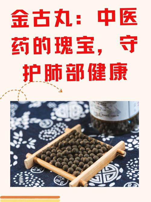金丹小学_小金丹_金丹小时候照片