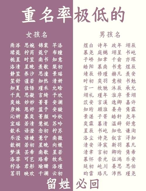 酷q名 如何为酷Q起一个独特且令人印象深刻的名字？古风与潮流元素的选择