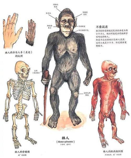 钩魂使者_勾魂使者dj_勾魂使者
