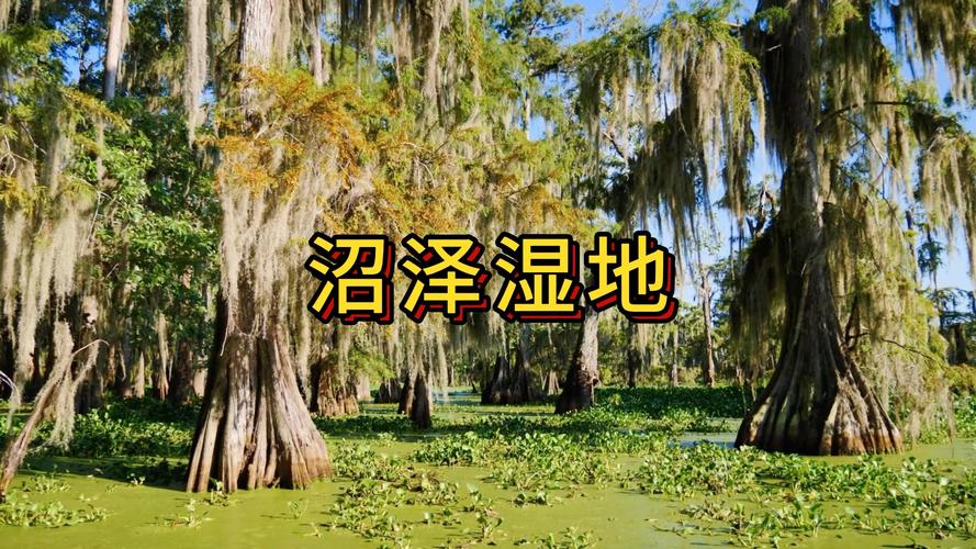 沃夫沼泽_保卫羊村沃夫沼泽_沼泽农夫