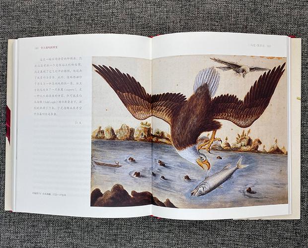 大航海时代威力加强版宝物_大航海时代4宝物_大航海时代宝物图