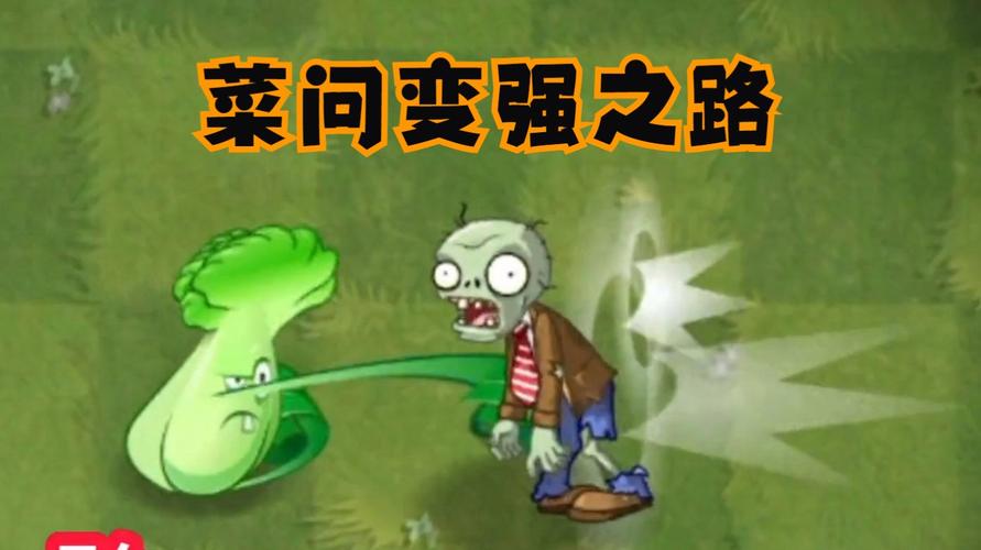 植物大战僵尸中菜问角色解析：近战高手与勇敢精神的象征