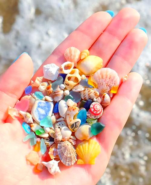 炫舞沙滩贝壳_炫舞浪漫海滩贝壳_炫舞手游贝壳怎么获得