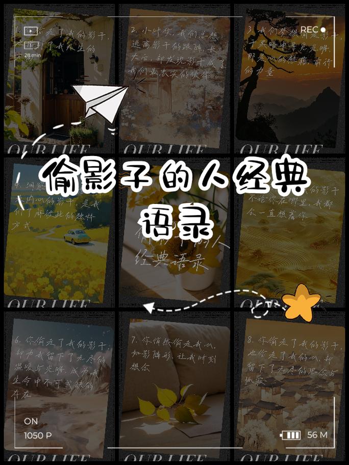 光明vs黑暗密码_光明与黑暗密码_光明黑暗密码怎么设置