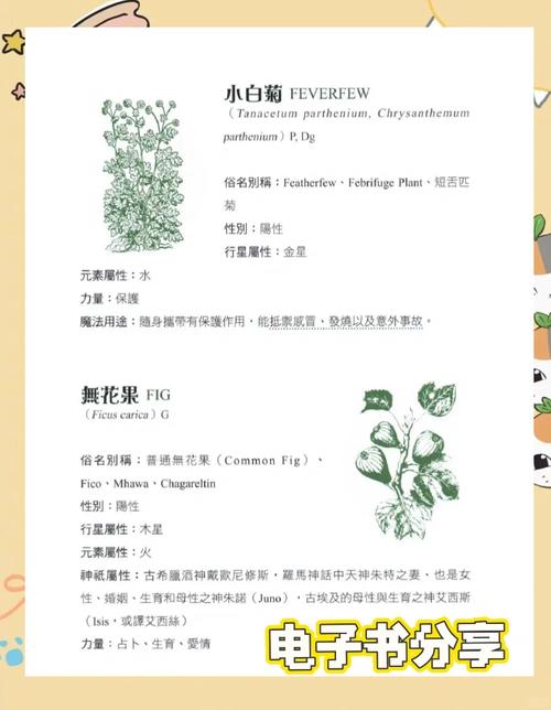 花园魔法攻略大全_魔法花园攻略_花园魔法攻略图文