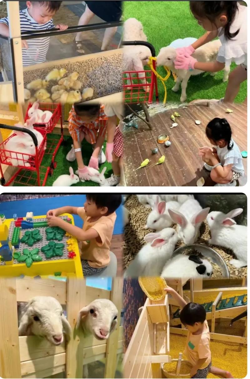 乖乖猪的世界_猪世界上最高的_猪世界猪杂粥