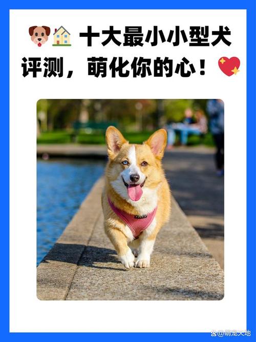 宝贝微信名称女生可爱_微宝贝_宝贝微信昵称大全