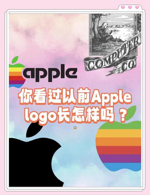 汽车b字母品牌_六个字母的品牌_字母品牌的衣服有哪些