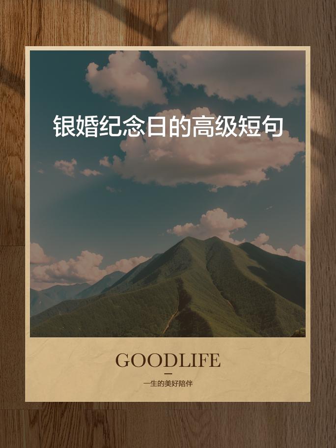 结婚送银币_银币赐的婚礼_银币赐的婚礼结局