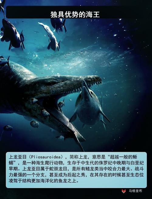 海王龙和沧龙谁更厉害_海王龙vs沧龙_海王龙