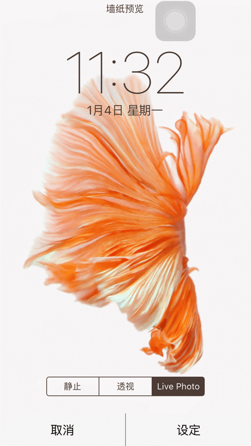 壁纸动态手机壁纸唯美_手机壁纸动态_时崎狂三壁纸动态手机