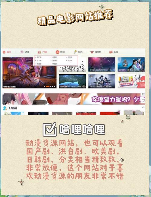 射手网站关闭原因深度解析：版权问题与运营压力如何终结影视迷的宝库
