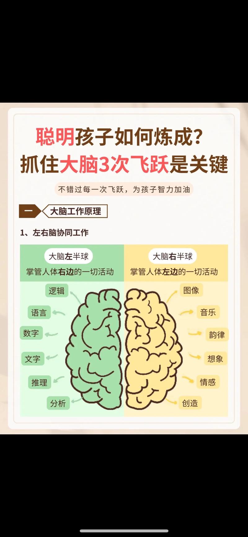 最强大脑攻略游戏怎么玩_最强大脑游戏通关攻略_最强的大脑游戏攻略